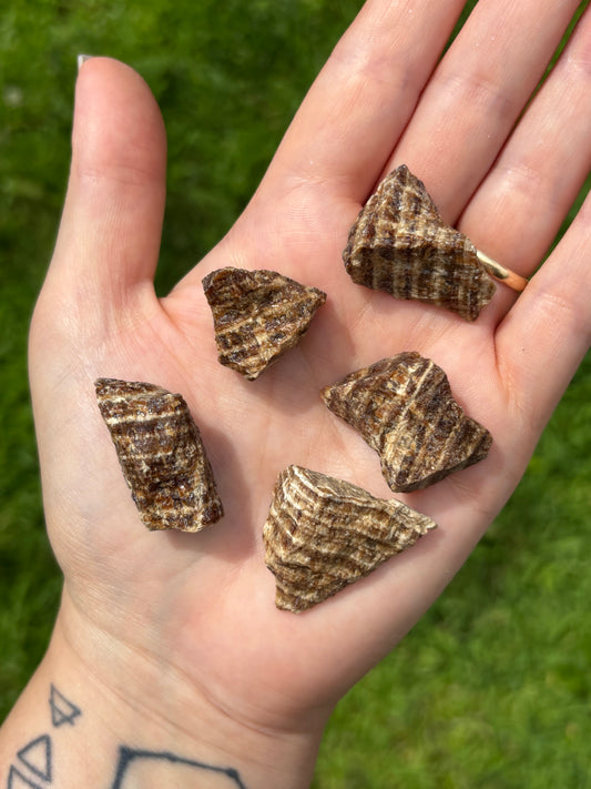 Aragonite cioccolato grezza