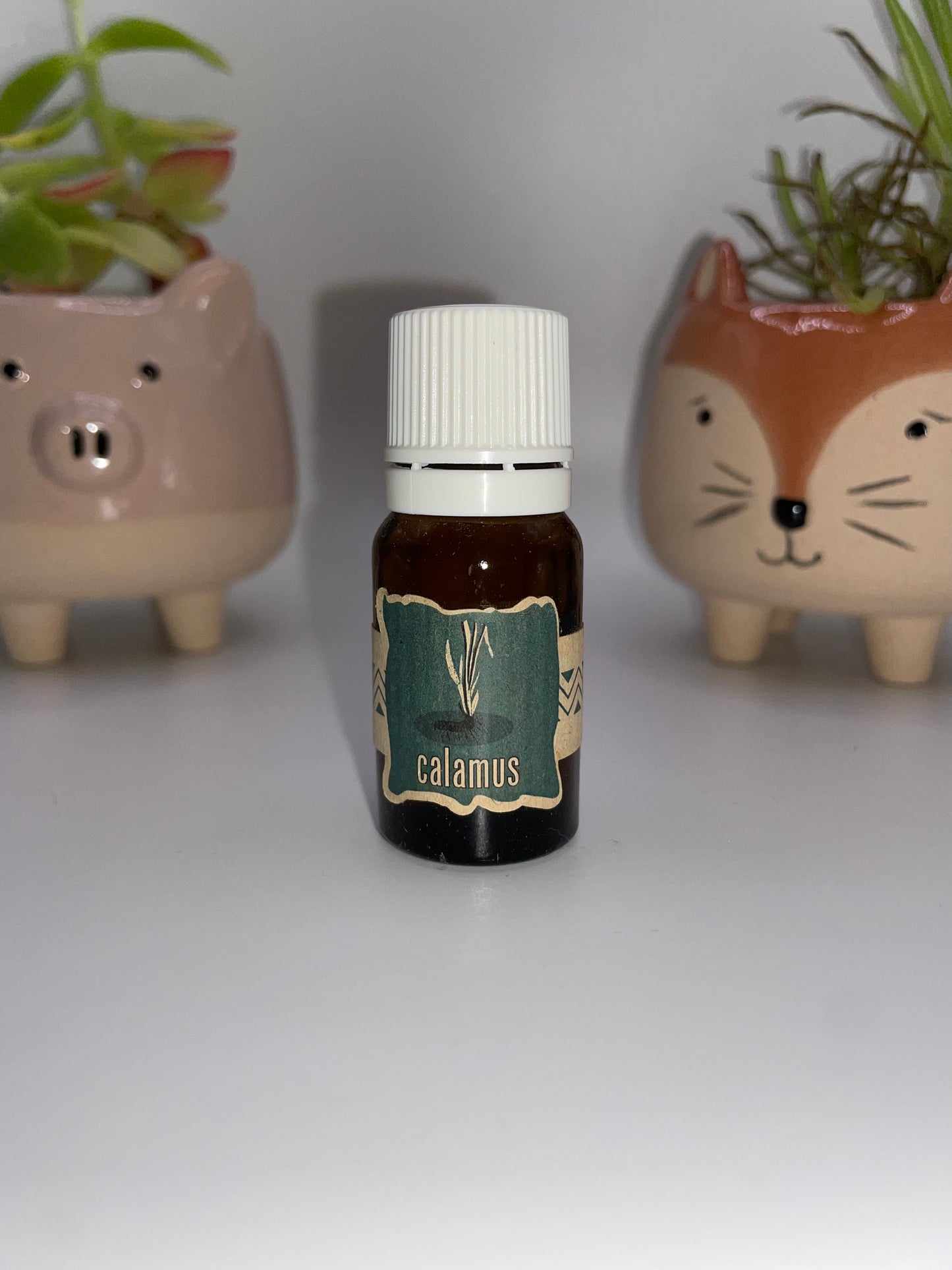 Olio essenziale calamo