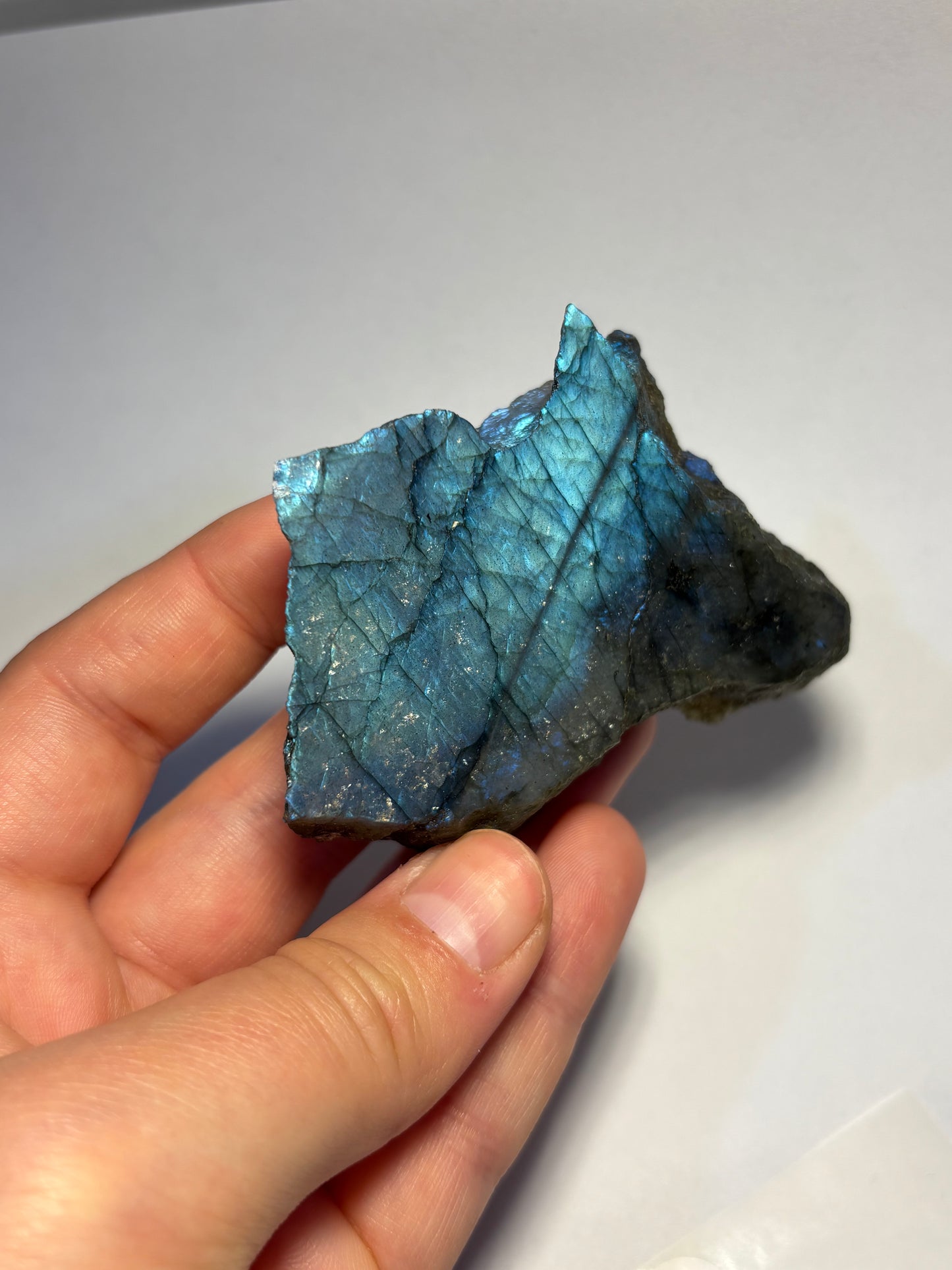 Fetta in labradorite lucidata
