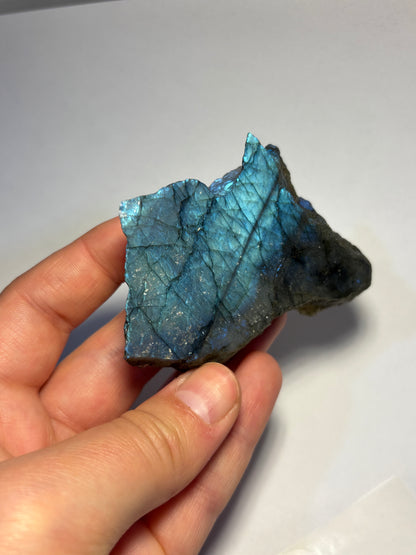 Fetta in labradorite lucidata