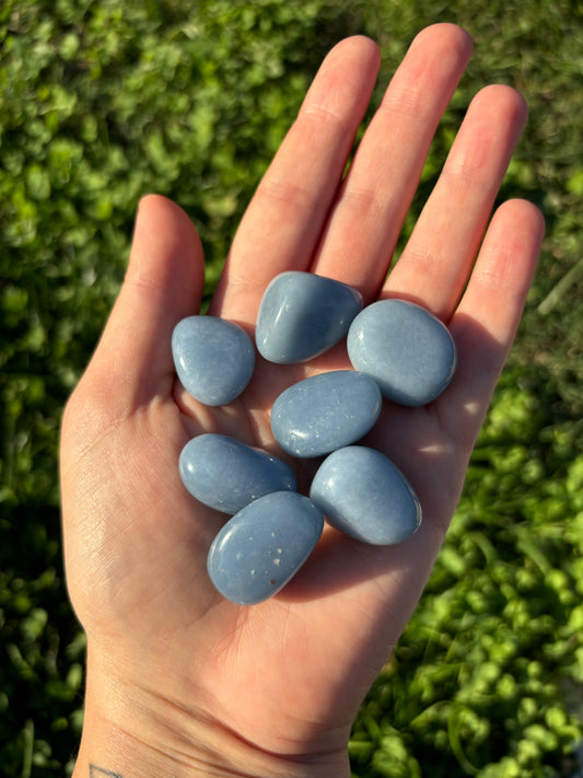 Angelite burattata