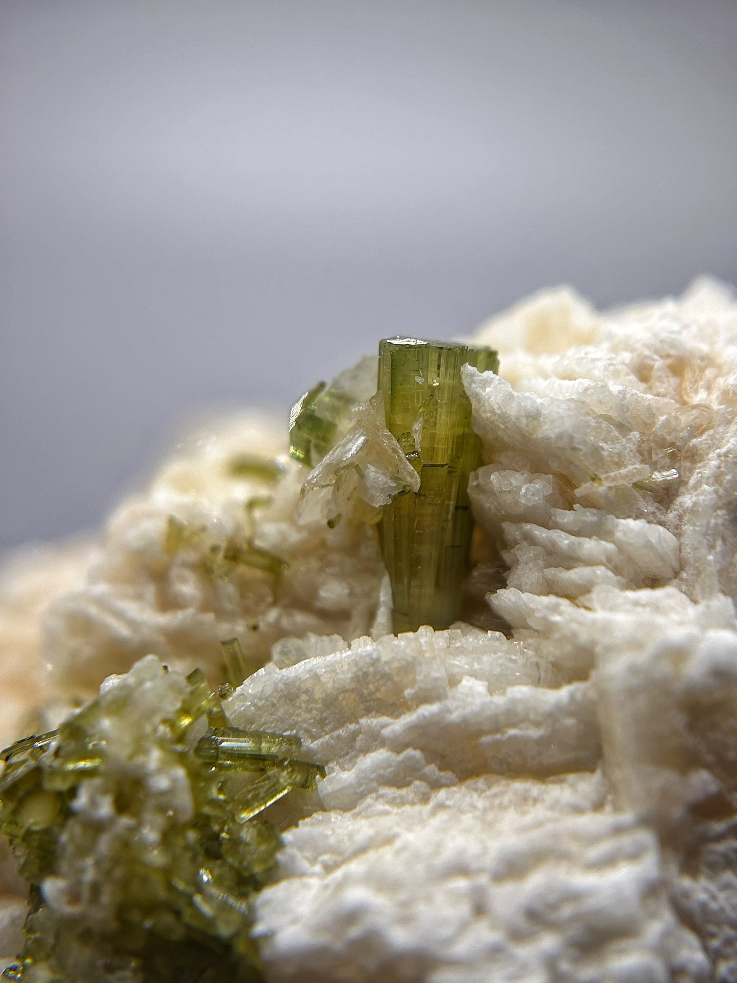 Tormaline verdi