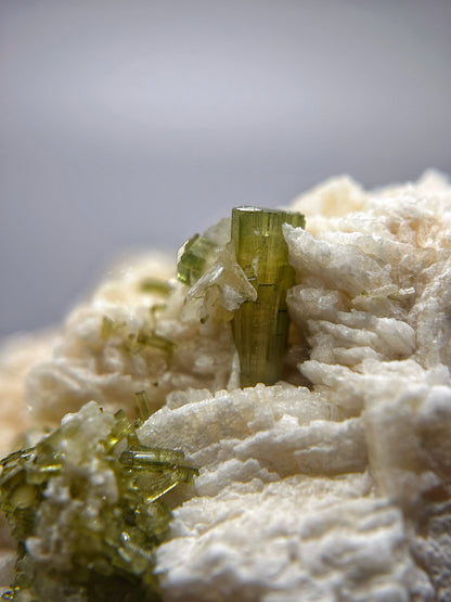 Tormaline verdi