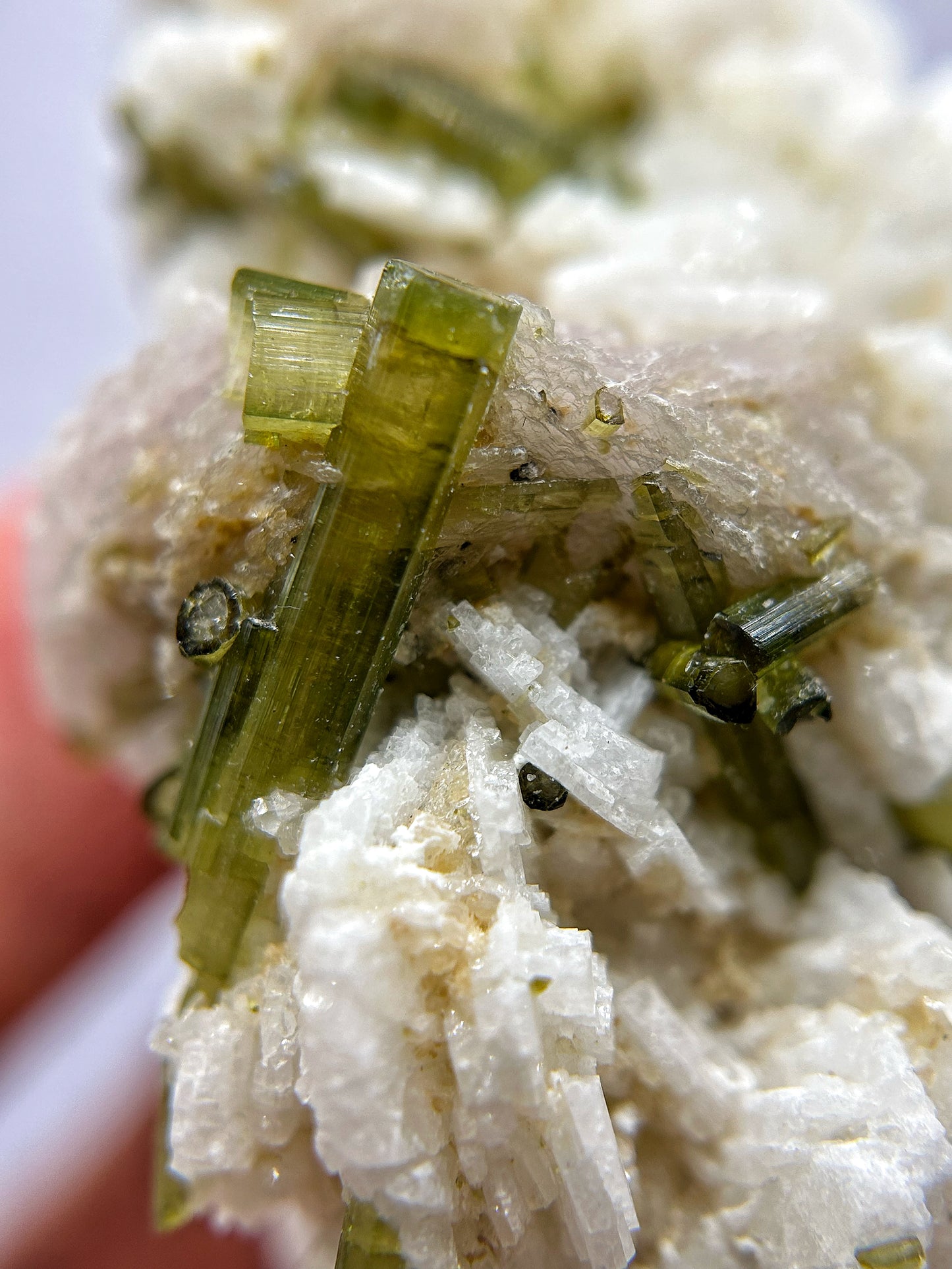 Tormaline verdi