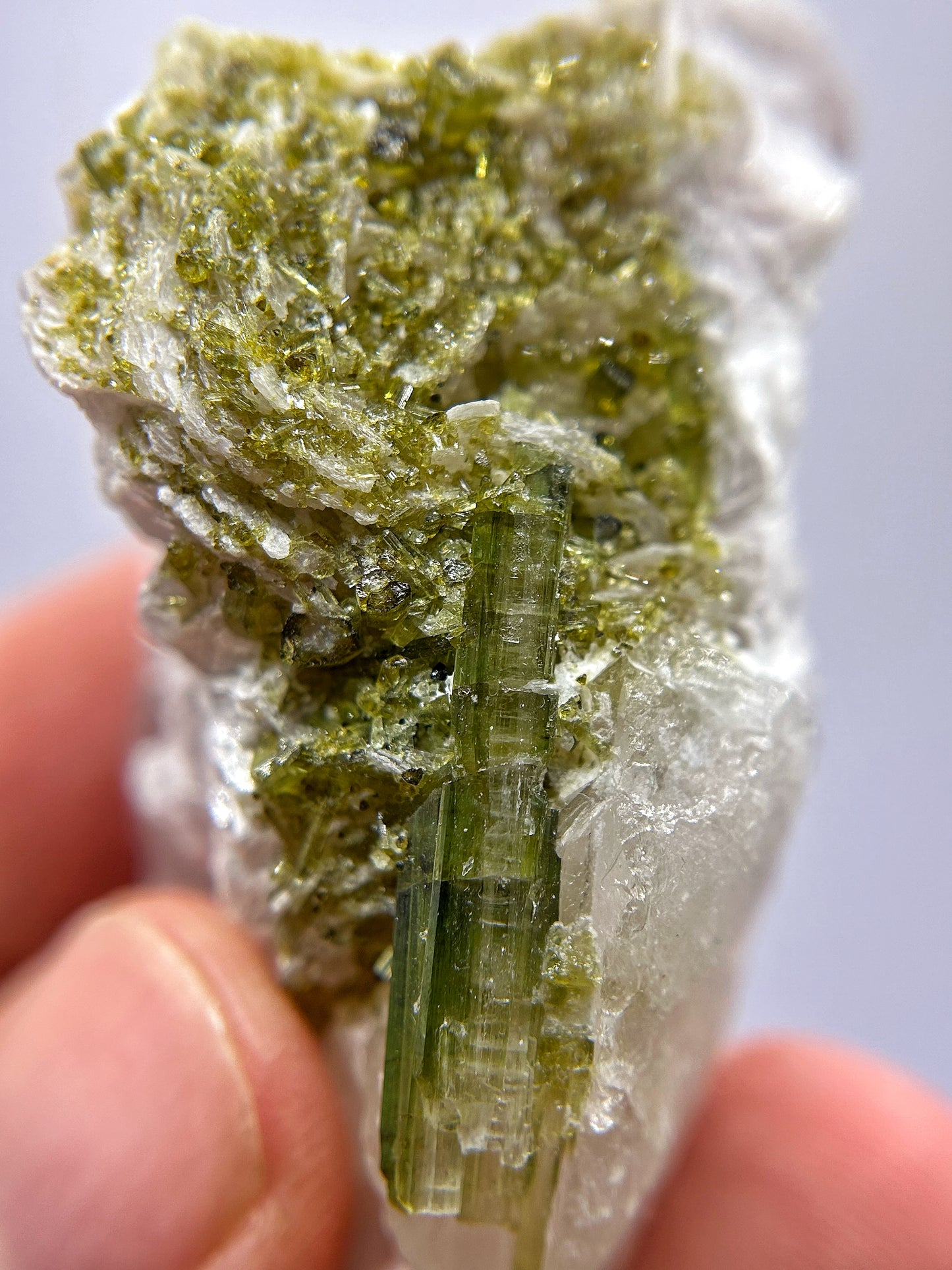 Tormaline verdi