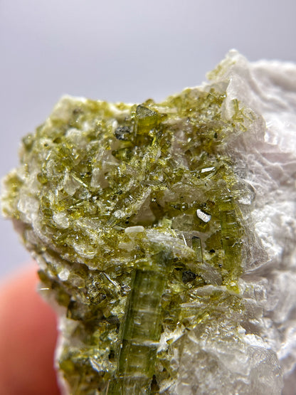 Tormaline verdi