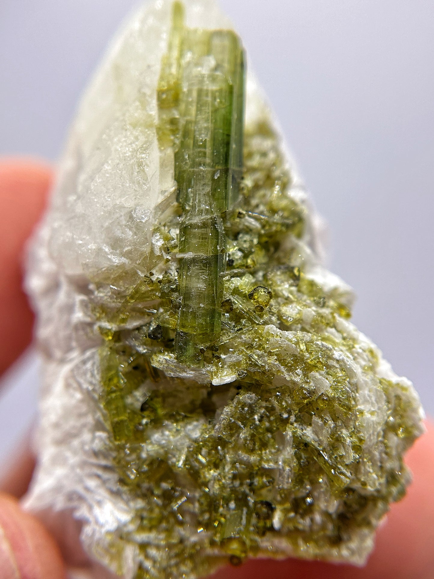 Tormaline verdi