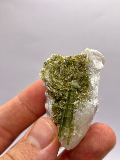 Tormaline verdi