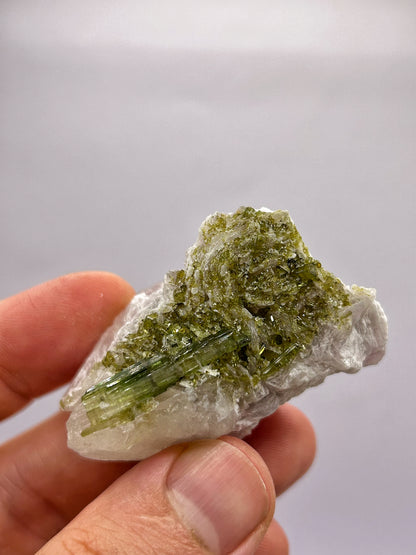 Tormaline verdi