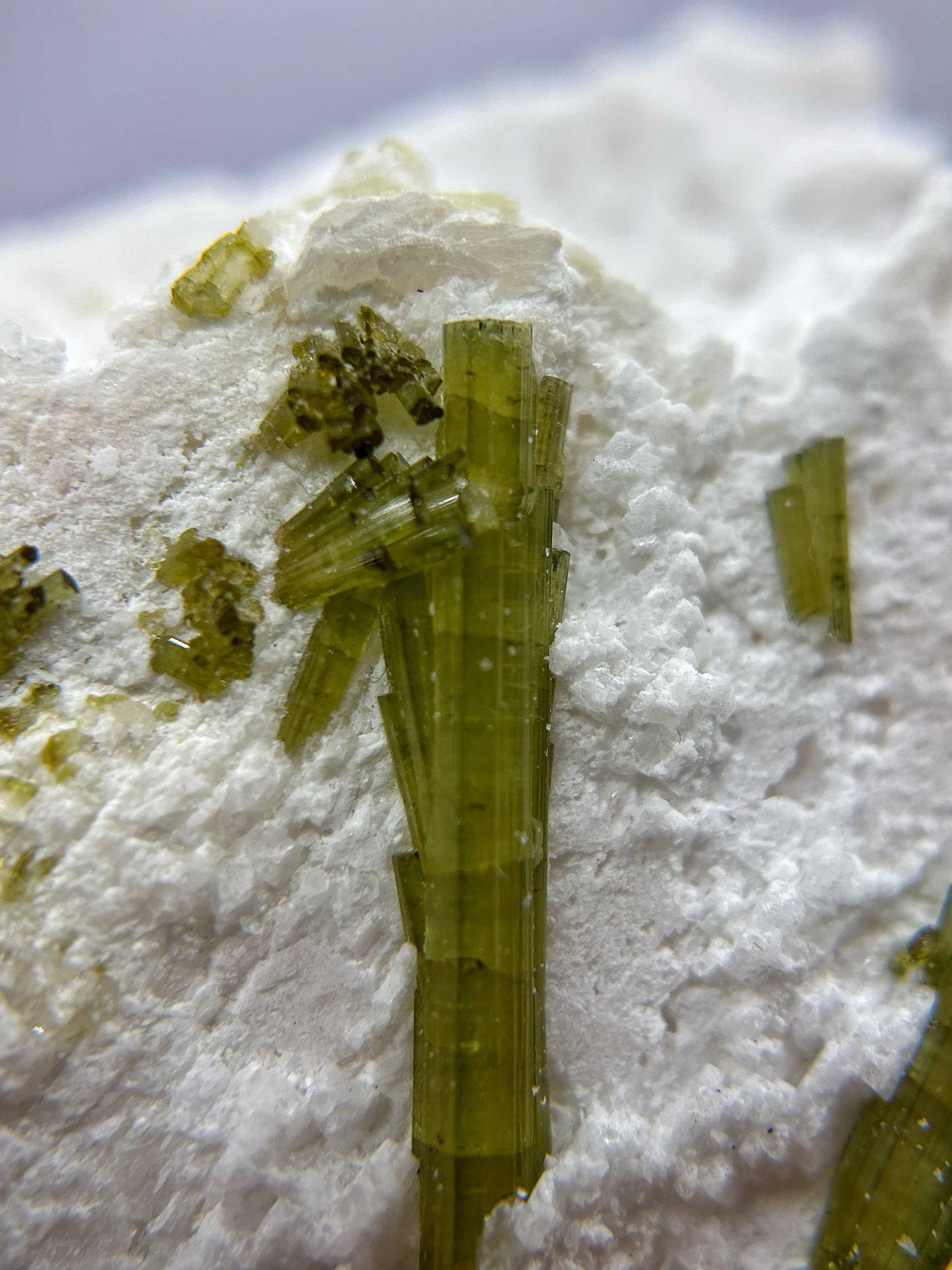 Tormaline verdi