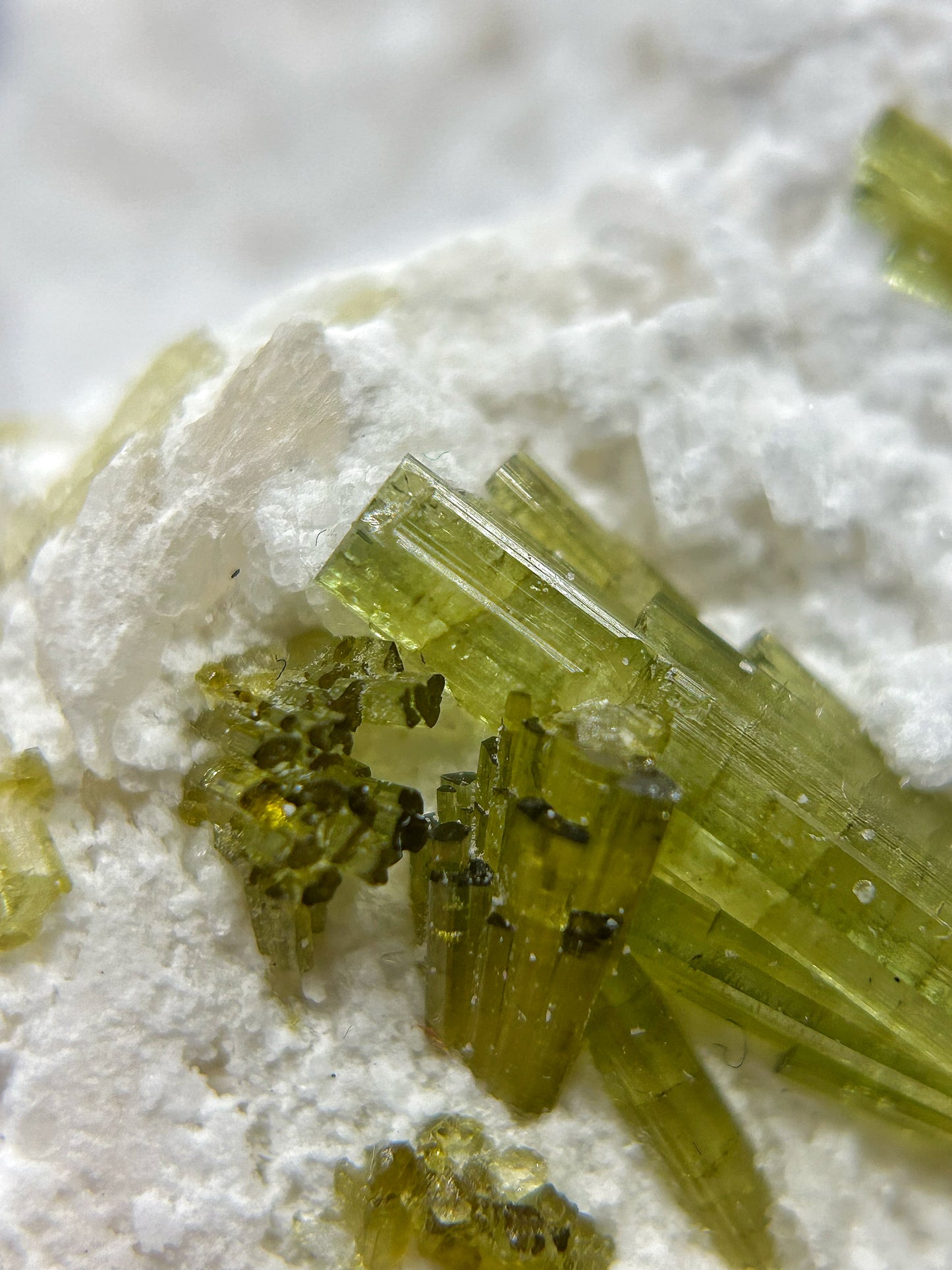 Tormaline verdi