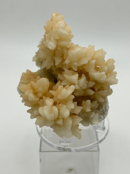Drusa aragonite