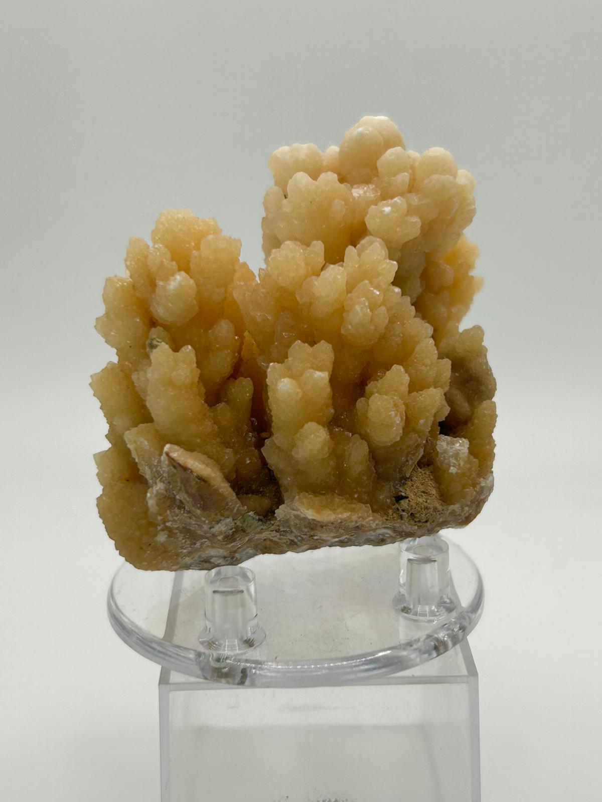 Drusa aragonite