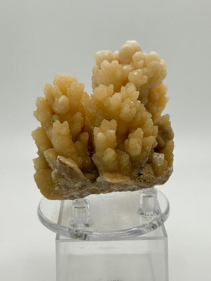 Drusa aragonite