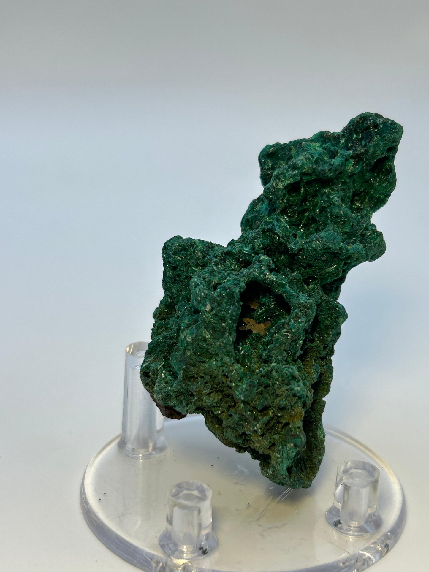 Malachite velvet