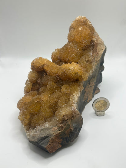 Calcite gialla botroidale su matrice