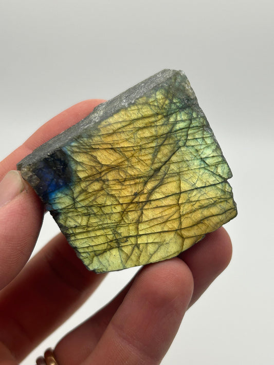 Fetta in labradorite lucidata