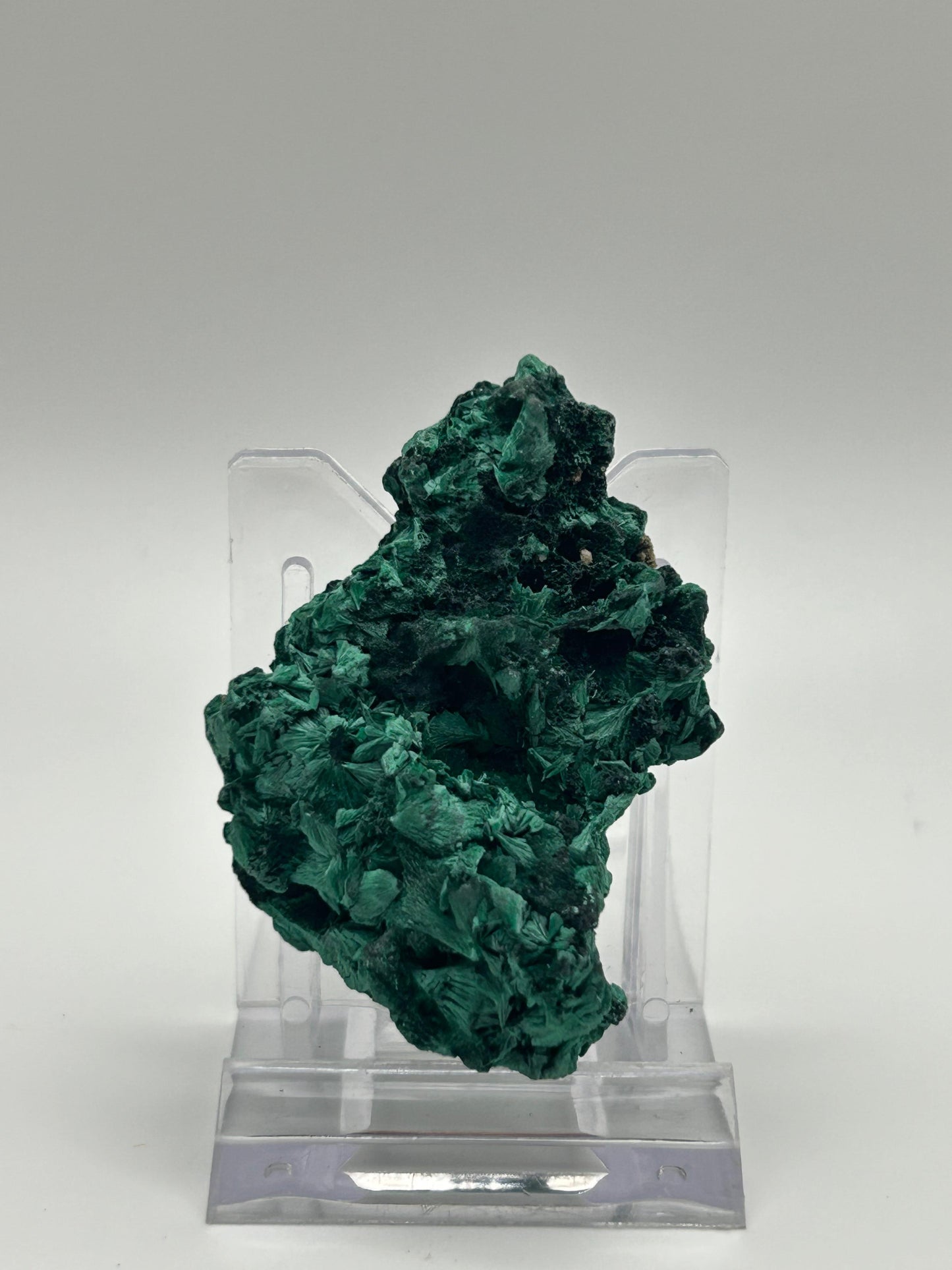 Malachite velvet