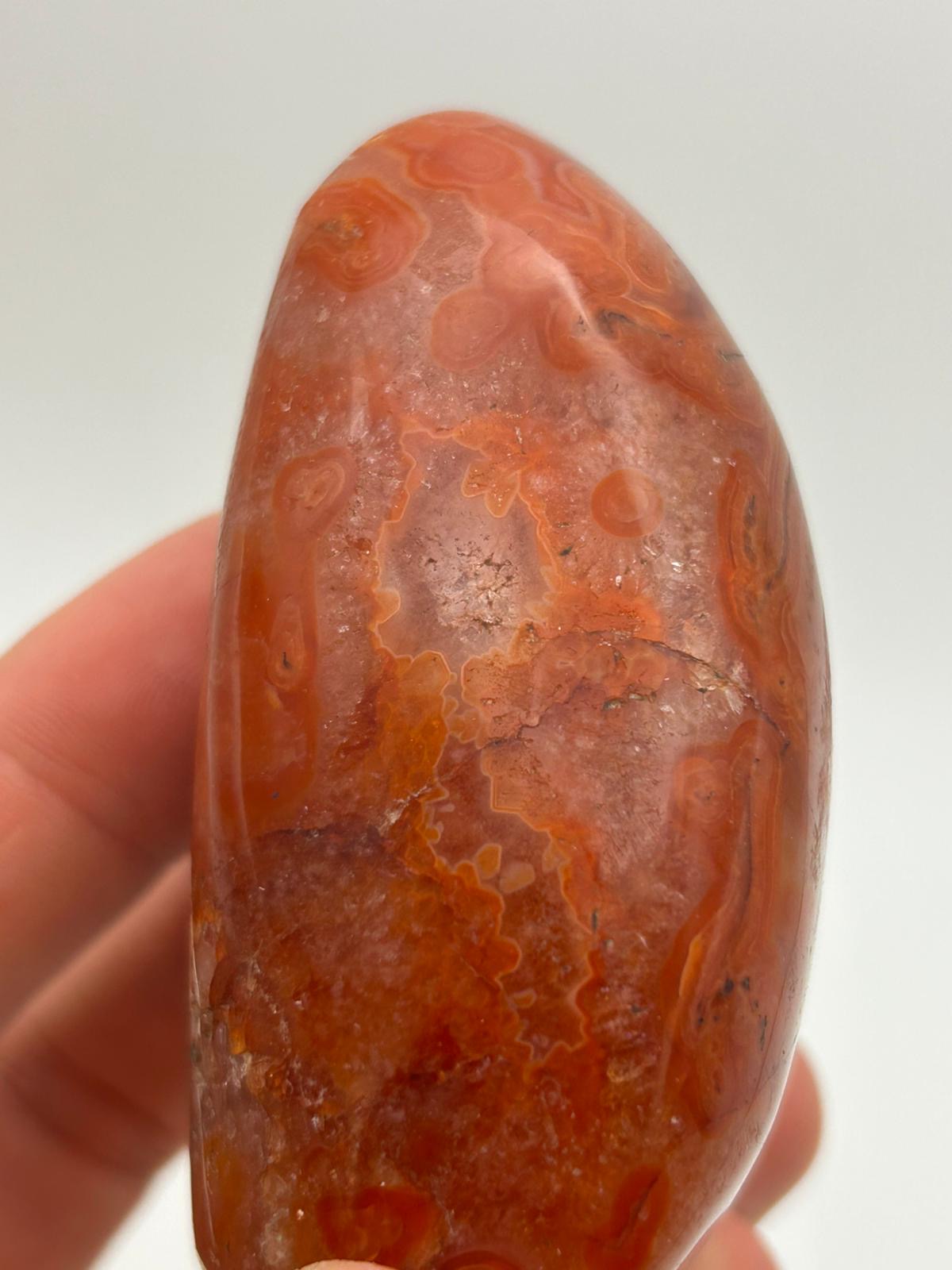 Freeform in corniola