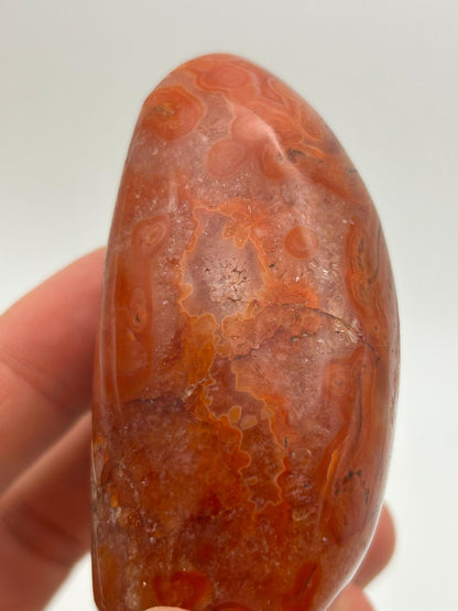 Freeform in corniola