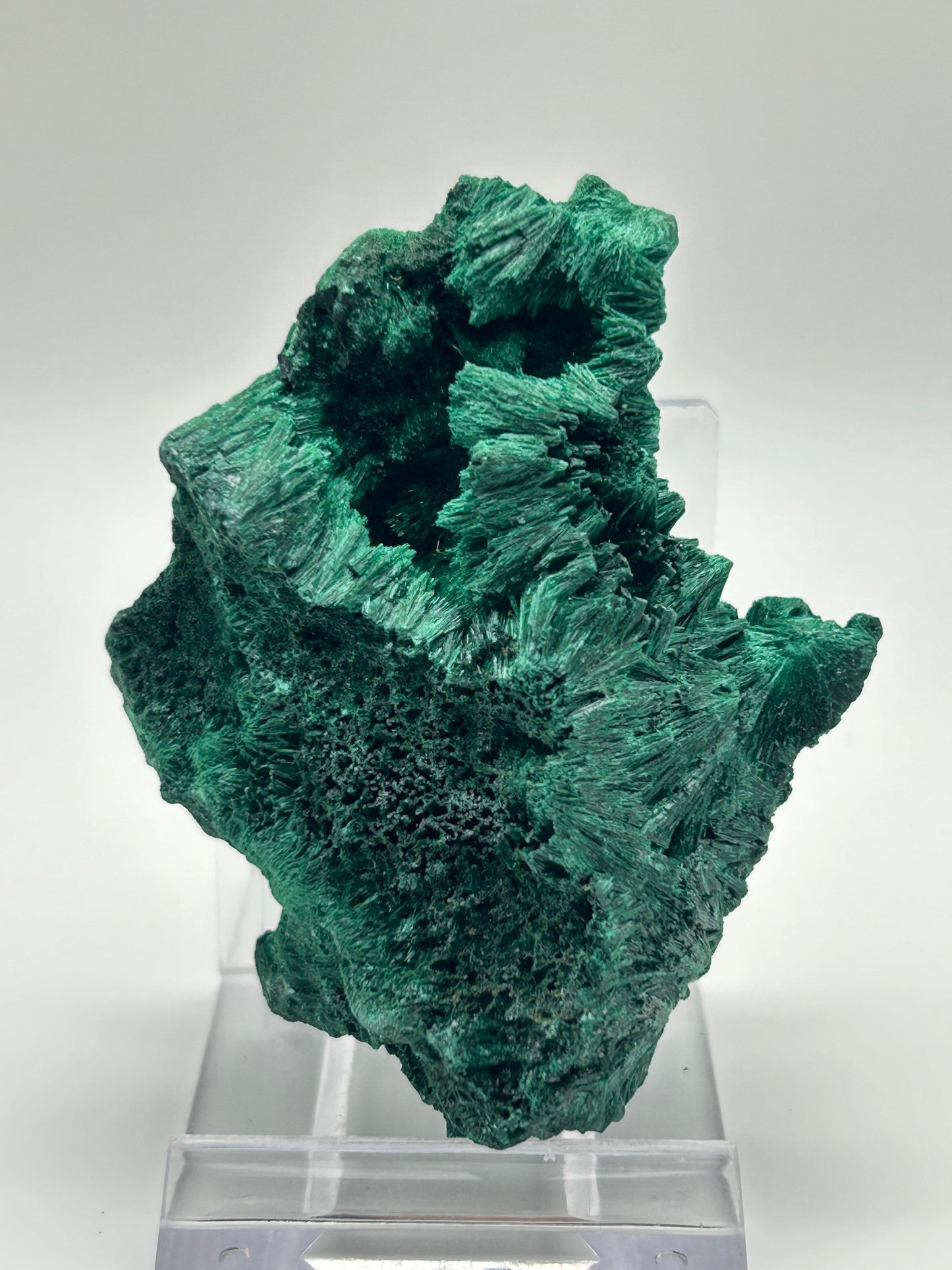 Malachite velvet