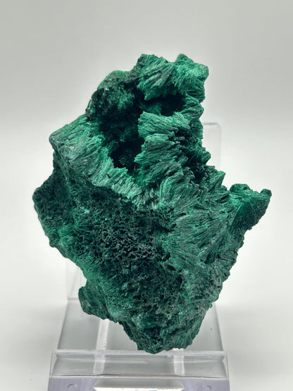 Malachite velvet