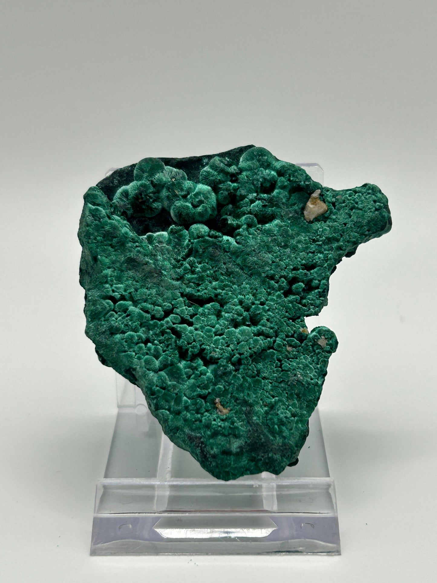 Malachite velvet