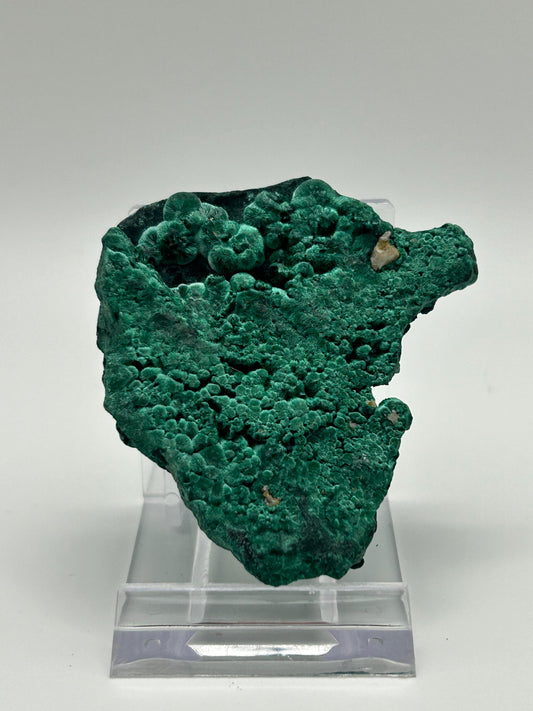 Malachite velvet