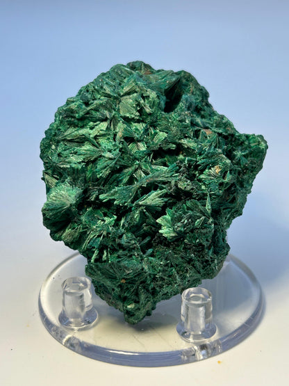 Malachite velvet